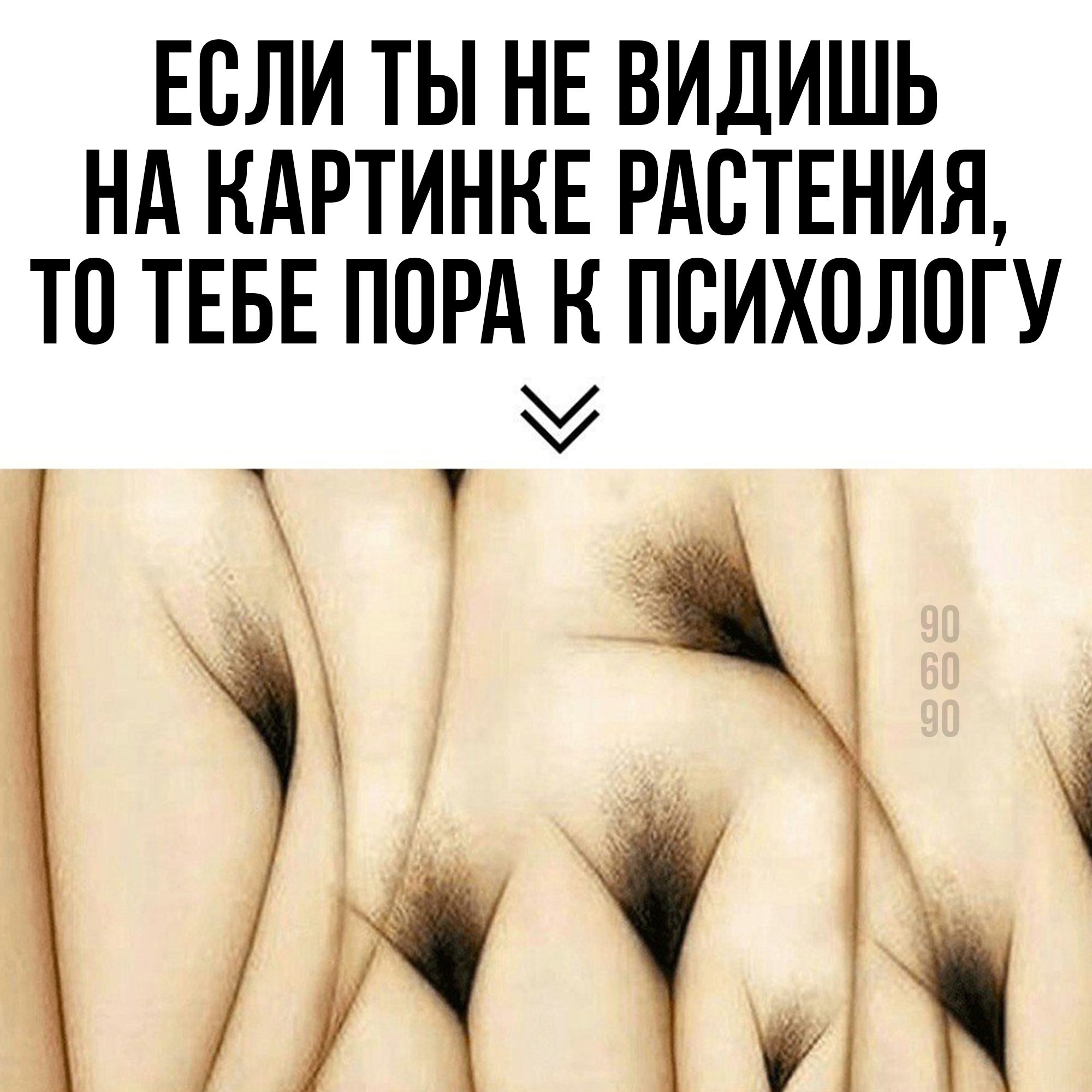 растения без стеснения