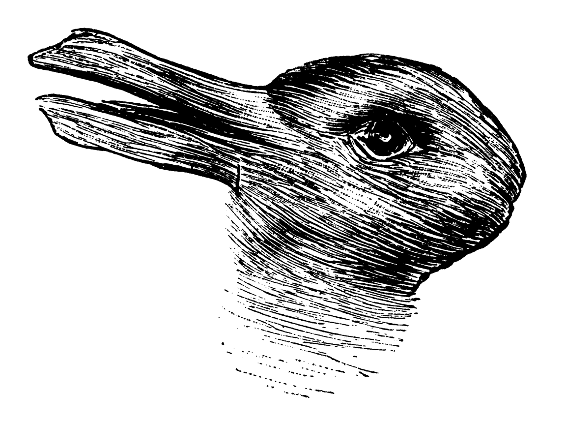 Кролик-утка