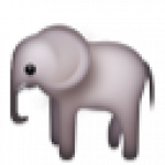 elephant_2.png