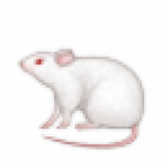 mouse_white.png