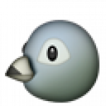 bird_pigeon_head.png
