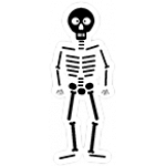 skelet.png